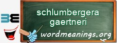 WordMeaning blackboard for schlumbergera gaertneri